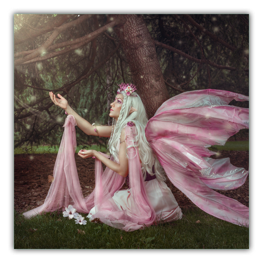 Fairy Pink. Large wooden pine tree with sunlight shining through with a fairy with long white hair with pink and white flowers in it. Pale pink clothes and fairy wings with grass in the forefront with 2 white flowers