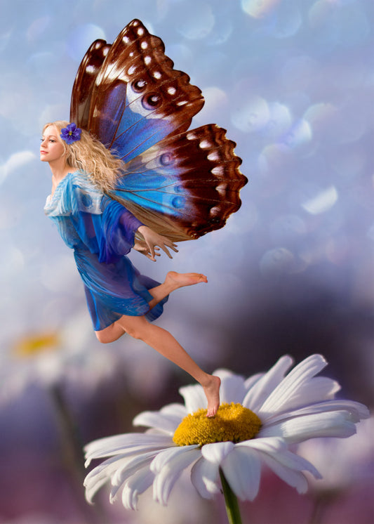 Daisy Fairy.  Sky background with wings of brown, blue and white fairy with blonde hair with blue flower, blue and white dress with bare legs with one foot on a daisy of white with yellow centre
