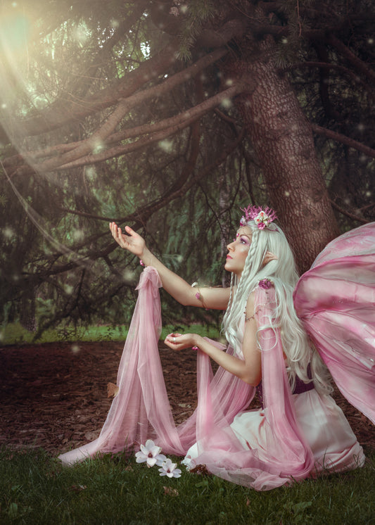 Fairy Pink.  Large wooden pine tree with sunlight shining through with a fairy with long white hair with pink and white flowers in it.  Pale pink clothes and fairy wings with grass in the forefront with 2 white flowers 